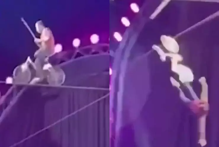 Acróbata colombiano