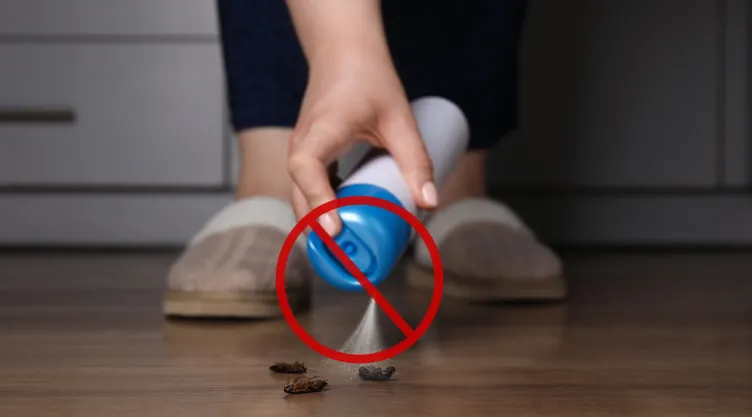 insecticida cucarachas riesgo