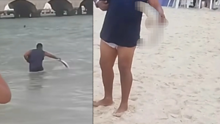 VIDEO: Cría de tiburón es sacado de las costas yucatecas y desata INDIGNACIÓN; estó pasó al final