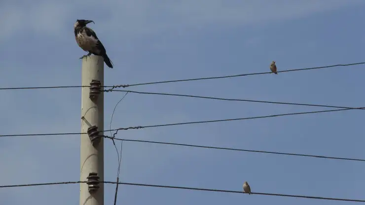 calidad del aire en Guanajuato