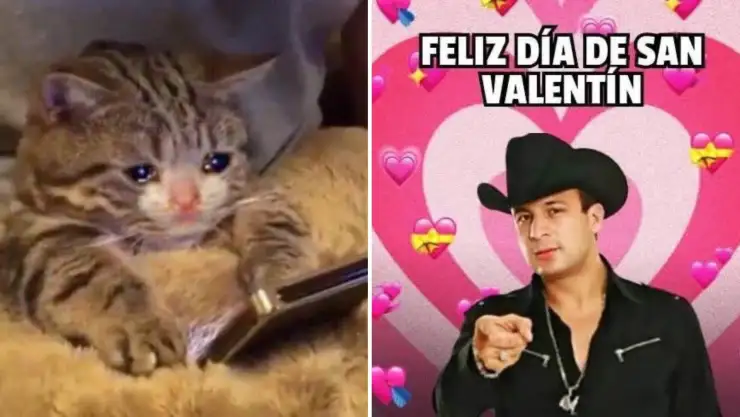 memes-inundan-redes-14-de-febrero.jpg
