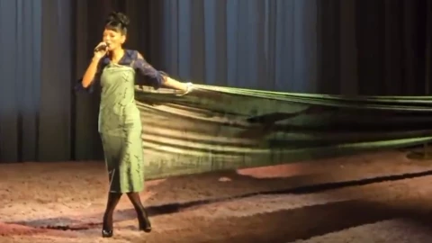 LILY ALLEN VESTIDO.png