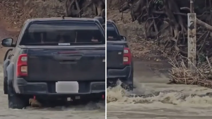 Video camioneta cocodrilo