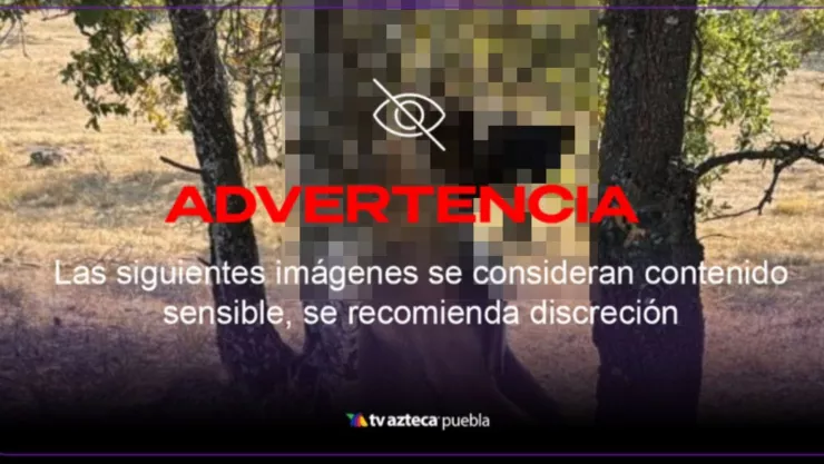 FOTO: Macabro caso de maltrato animal en Haras del Bosque, Amozoc; encuentran a perro asesinado