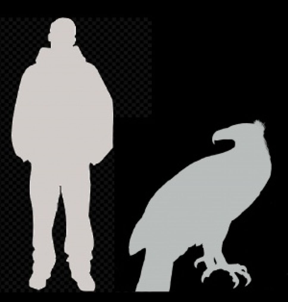 Human-eagle-silhouette-2.jpg