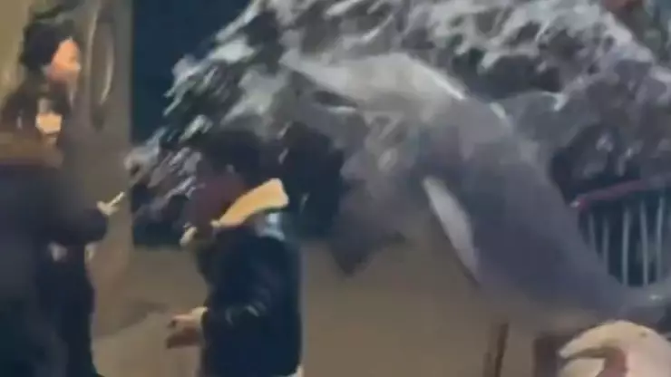 beluga le dio su merecido a hombre que no apagó su cigarro.png