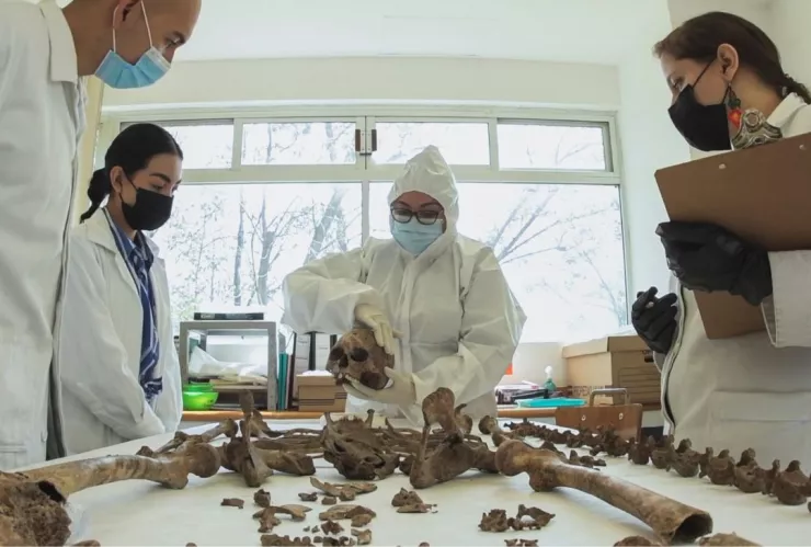 antropologia forense unam