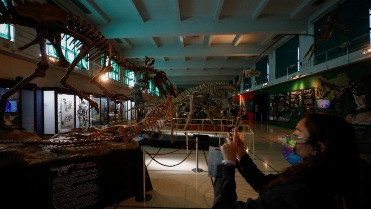 dinosaurio argentina