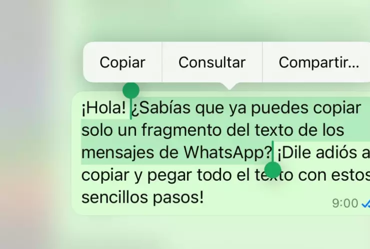 ¿Cómo copiar una parte del mensaje en WhatsApp?