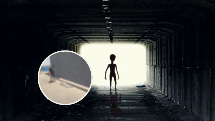 ¿Era un extraterrestre? La verdad detrás del supuesto cadáver alienígena que generó caos en una tienda
