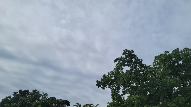 Clima- cielo nublado