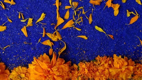 cempasúchil leyenda dia de muertos