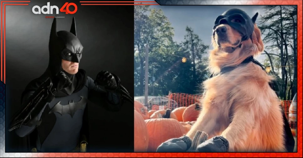 VIDEO: Disfrazan de Batman a perrito para Halloween