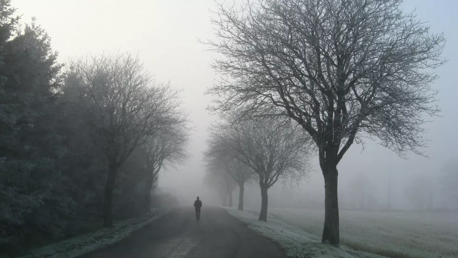 Una madre echó a su hijo de 12 años.jpg