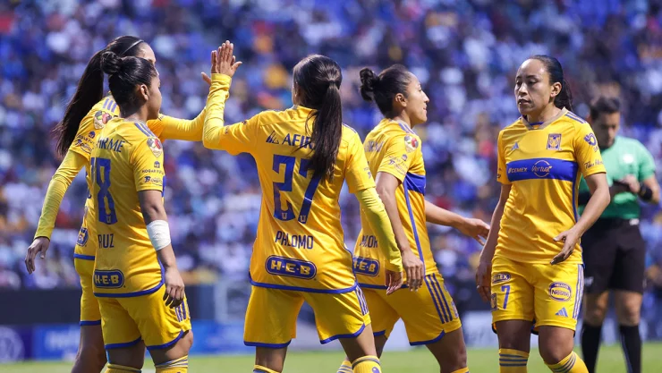 Tigres femenil