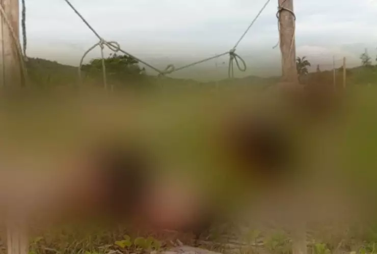 Localizan 5 cabezas humanas exhibidas en una playa de Ecuador