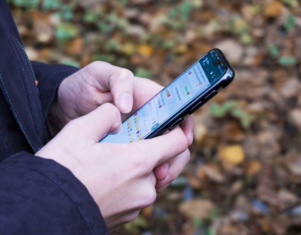 WhatsApp 28 de diciembre bromas