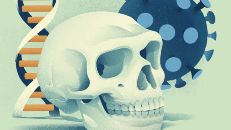 craneo genetica virus