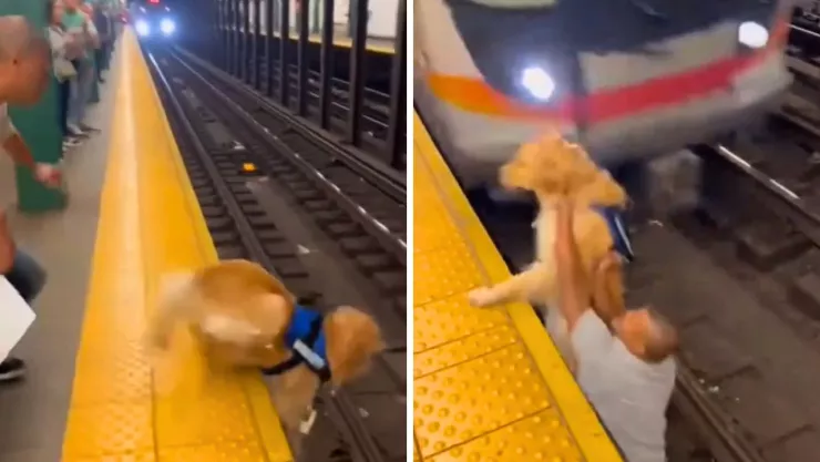 El momento fue captado en un andén y generó reacciones divididas