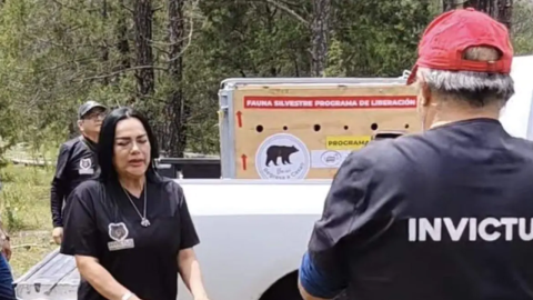 Ba’wi recorrió 49 horas por tierra para recuperar su libertad en Tutuaca