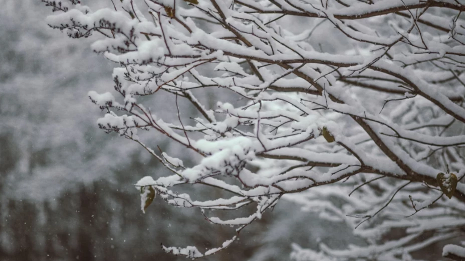EU prevé tormentas y nevada en víspera de Acción de Gracias