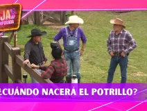 La Granja VIP se prepara para una llegada especial: ¿cuándo nacerá el potrillo de Paloma?