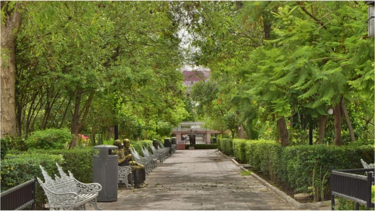 ¡Más árboles! Planean reforestar el Centro de Aguascalientes; esto es lo que sabemos