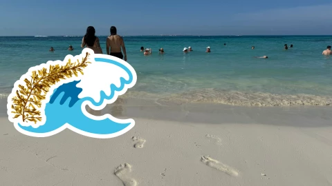 Playas libres de sargazo en Quintana Roo HOY 5 de agosto de 2025_ Lista desde Holbox, Cancún y hasta Tulum.jpg