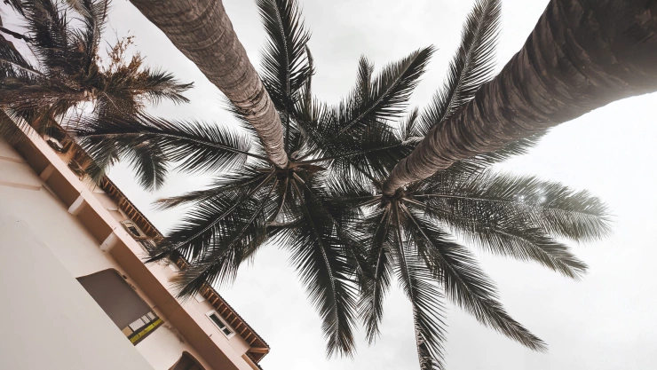 Probabilidad de lluvia Consulta el pronóstico del clima hoy 6 de junio en Puerto Vallarta