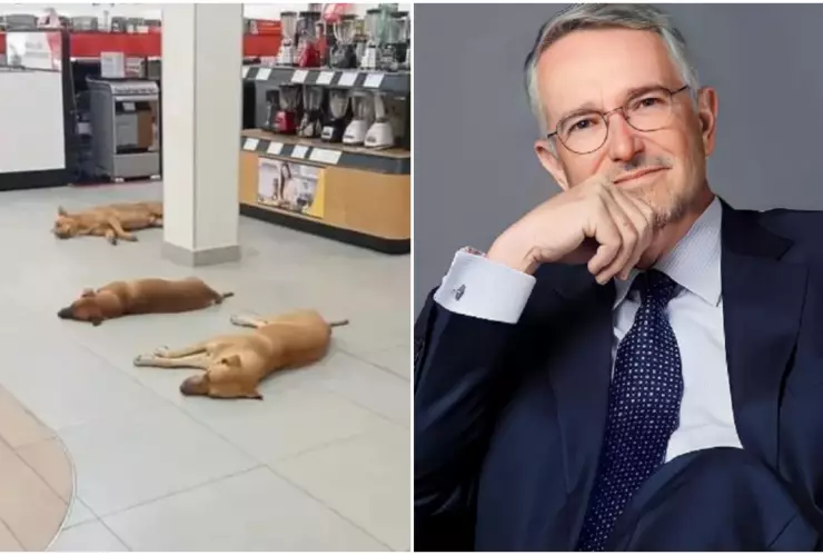 ricardo salinas ayuda a perros