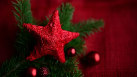 ¿Cuándo se comienza a decorar la casa de Navidad y cuando se pone el arbolito en Aguascalientes?