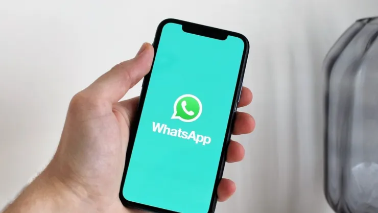 Así puedes activar el modo gato en WhatsApp en 4 pasos
