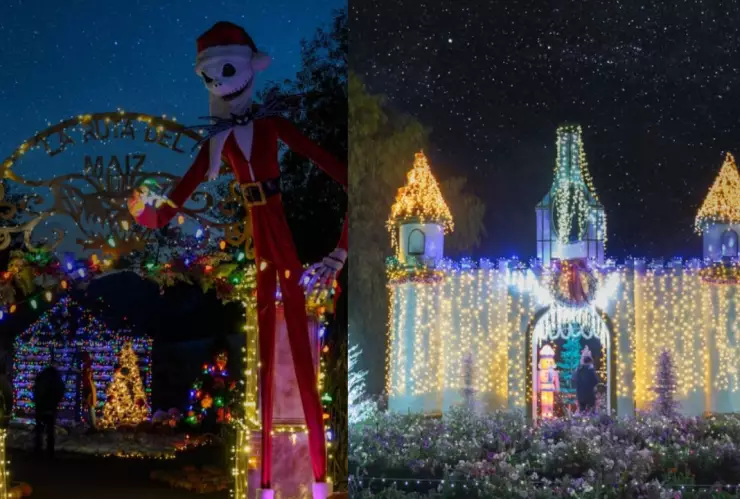 Ruta del Maíz en Tijuana 2025 ¿Cuándo cierran, horario y cuál es el precio de entrada? (VIDEO)