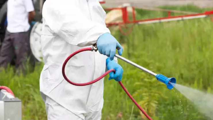 Efemérides 6 de junio_ Qué se conmemora un día como hoy.jpg