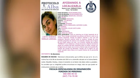 Ficha de búsqueda de Lizeth Verenice, desaparecida en Mazatlán