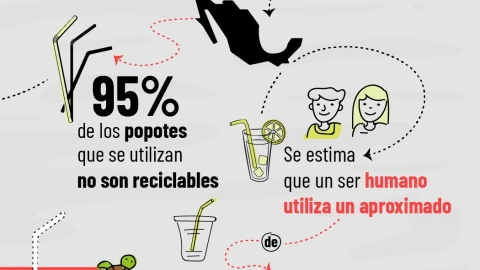 Campaña contra popote