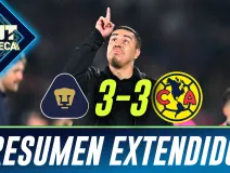 extendido.jpg