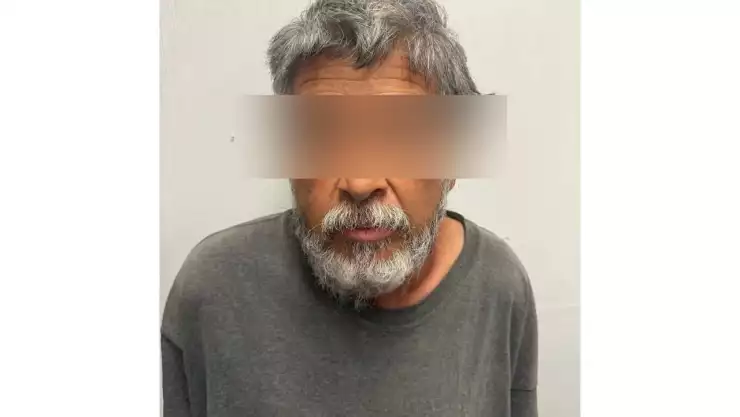 arresto maltrato animal