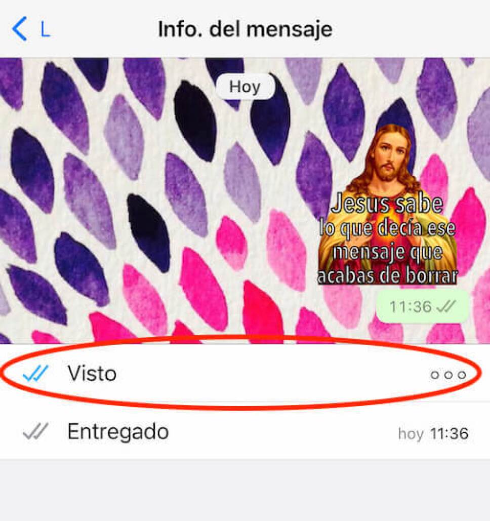 informacion del mensaje en whatsapp