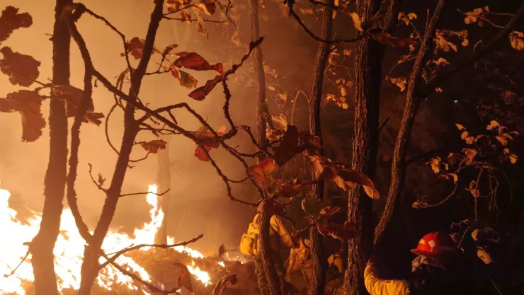 Extinguen incendio en bosque La Primavera; suman 3 lesionados
