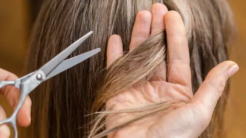 PORTADA cortarse cabello en enero fases lunares.jpg