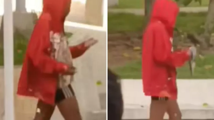 IMÁGENES FUERTES Mujer le arranca la cabeza a una paloma de un mordisco.jpg