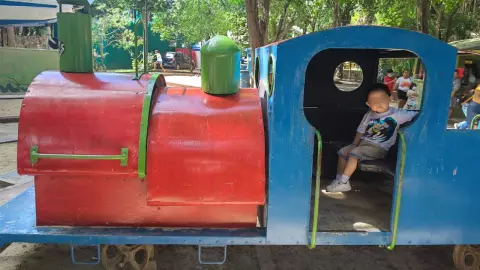 ¿Nuevo descarrilamiento del trenecito del Centenario Esto sabemos