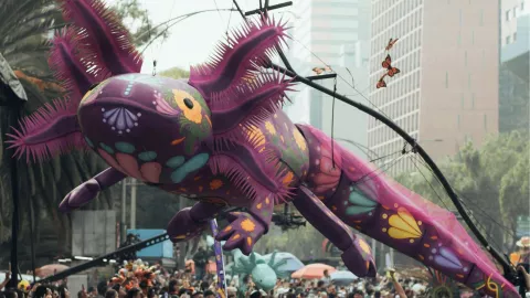 Desfile de Alebrijes 2025 fecha, hora y ruta del colorido recorrido en CDMX