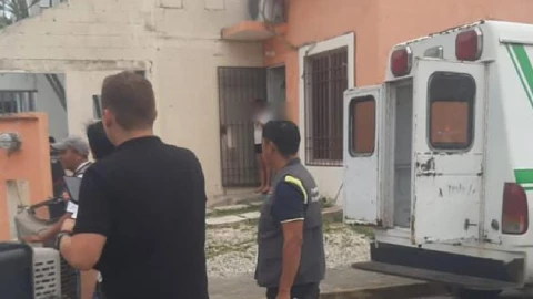 Resguardan a tres canes en Cancún tras reporte de maltrato.jpg