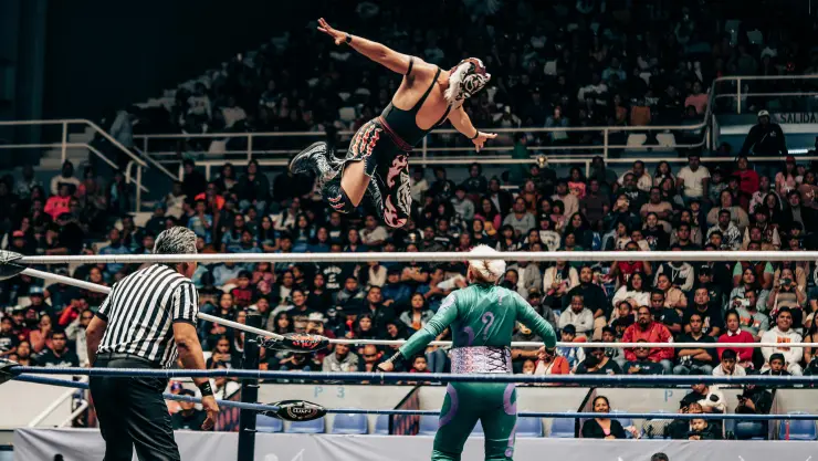 lucha libre
