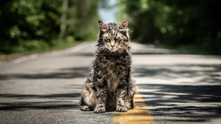 Película pet sematary