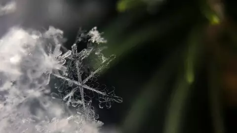 Clima hoy en Yucatán 10 de enero de 2025_ Prevén hasta 12 grados en estos municipios yucatecos