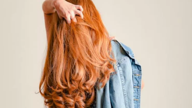 Descubre cu&aacute;les son los remedios naturales efectivos contra el cabello seco