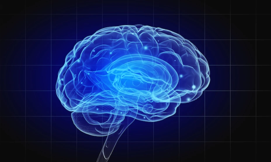 Human mind